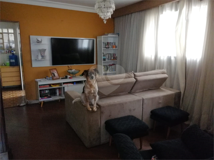 Foto REO731049