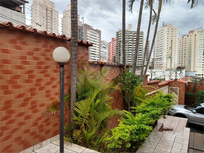 Foto REO731094