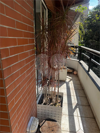 Foto REO731159