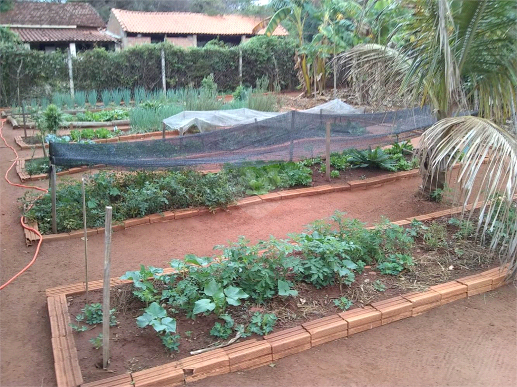 Venda Chácara Araraquara Recanto Dos Nobres REO731237 39