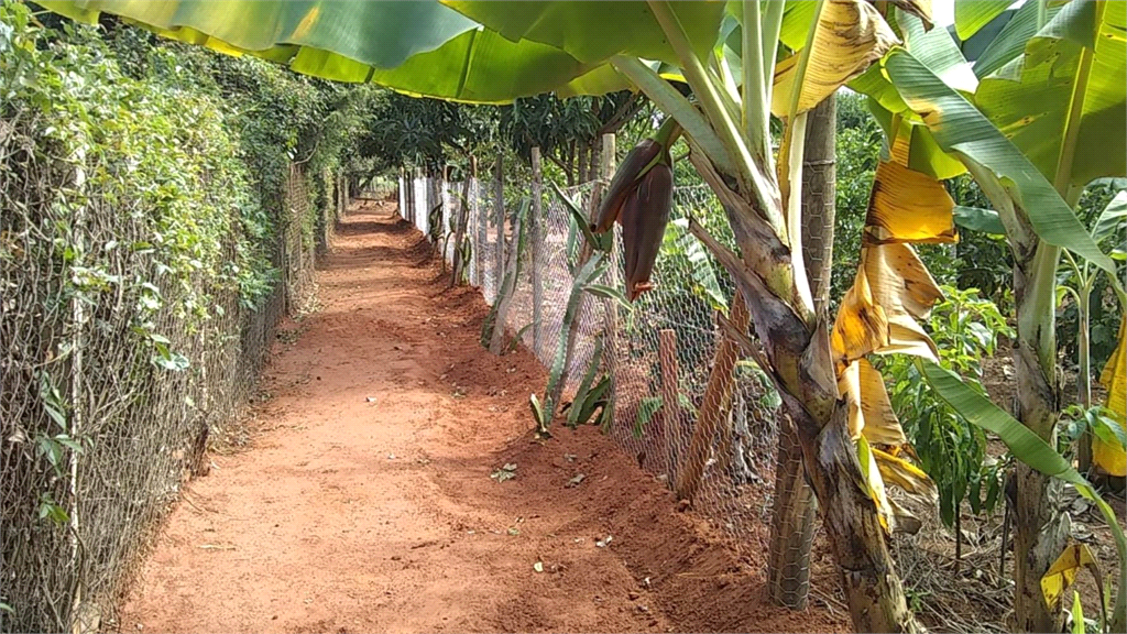 Venda Chácara Araraquara Recanto Dos Nobres REO731237 54