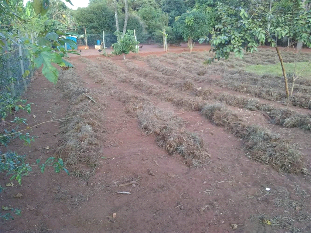 Venda Chácara Araraquara Recanto Dos Nobres REO731237 49