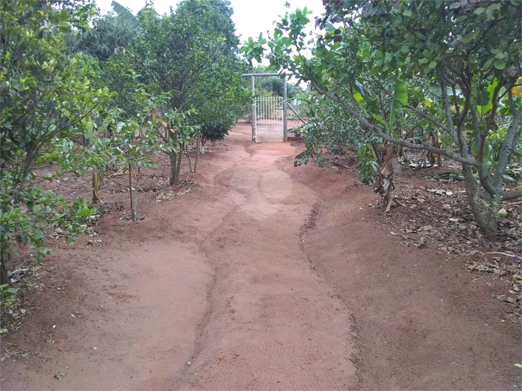 Venda Chácara Araraquara Recanto Dos Nobres REO731237 38