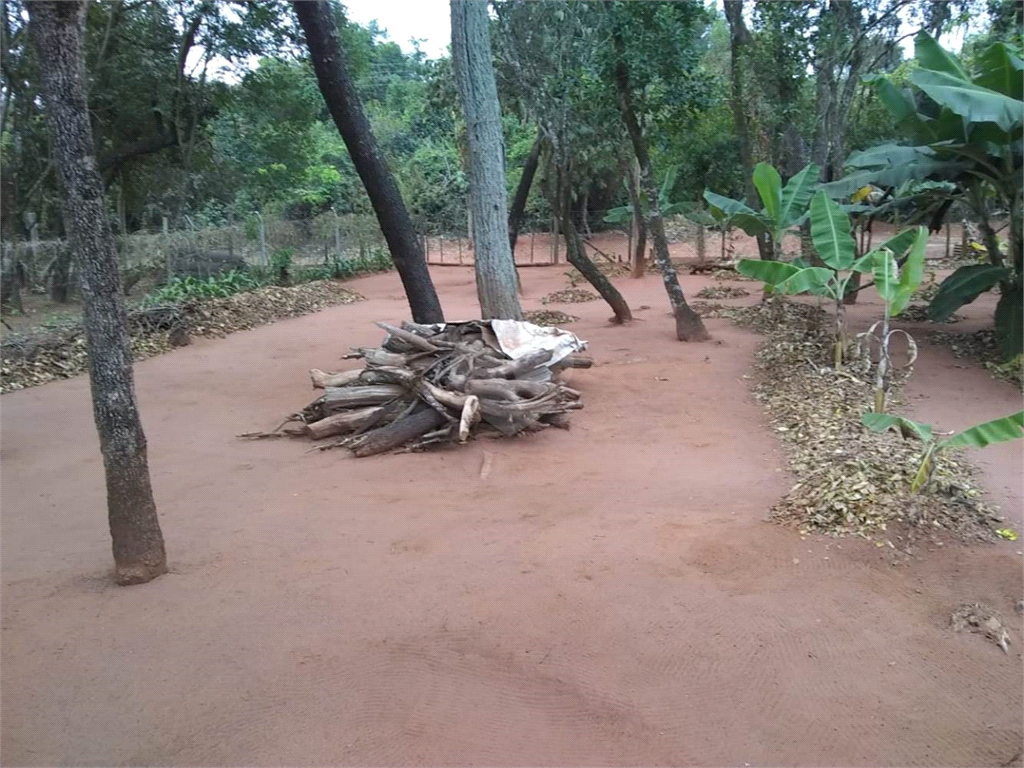 Venda Chácara Araraquara Recanto Dos Nobres REO731237 24