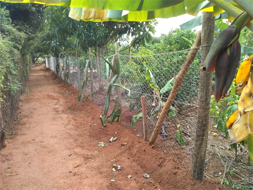 Venda Chácara Araraquara Recanto Dos Nobres REO731237 58