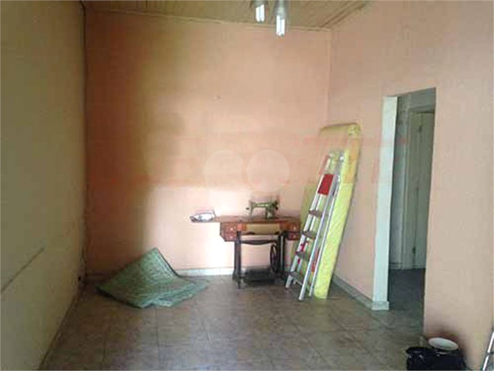 Foto REO731265
