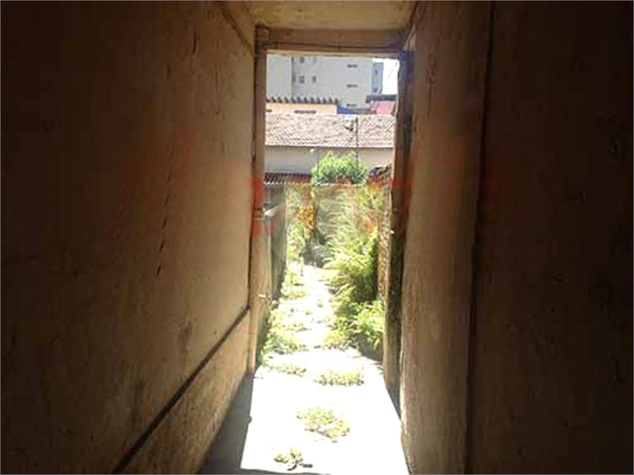 Foto REO731265