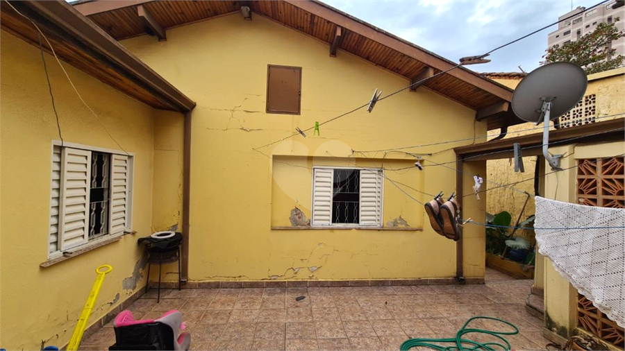Foto REO731455