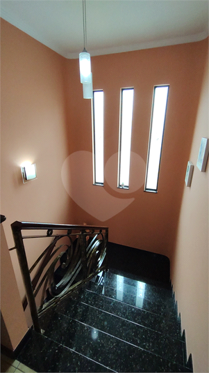 Foto REO731579