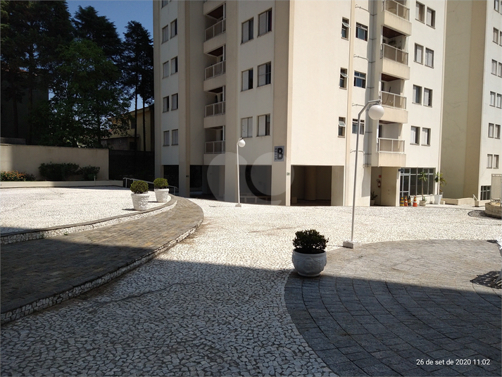 Foto REO731729