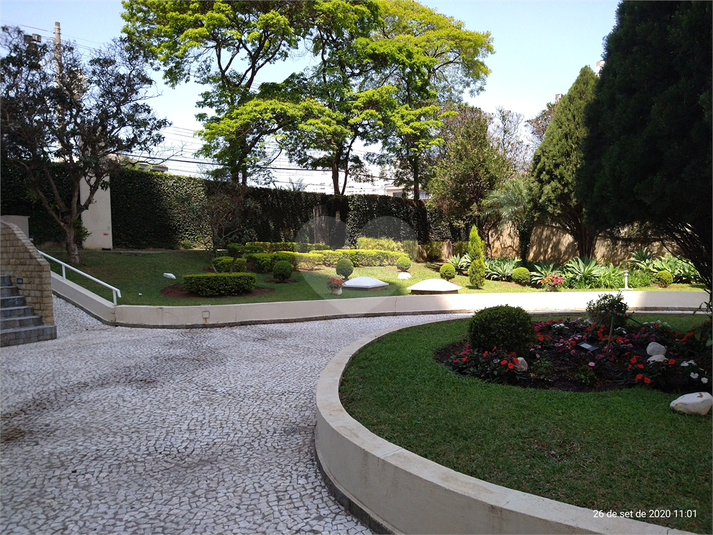 Foto REO731729