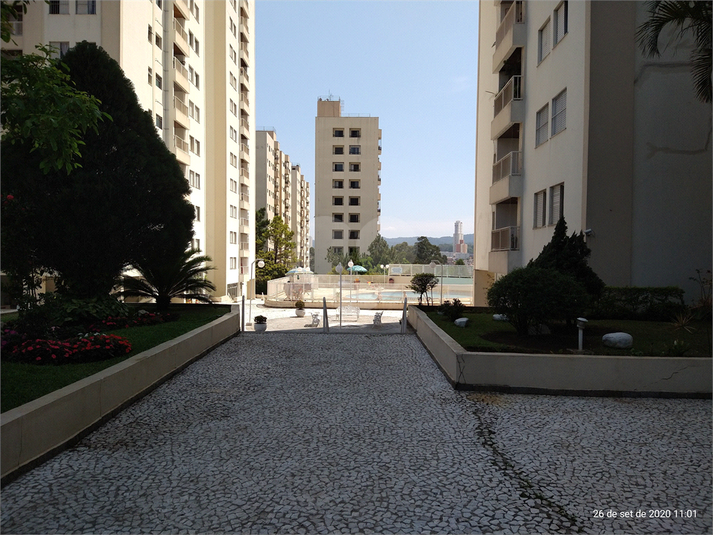 Foto REO731729