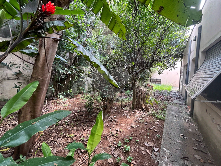 Foto REO731742