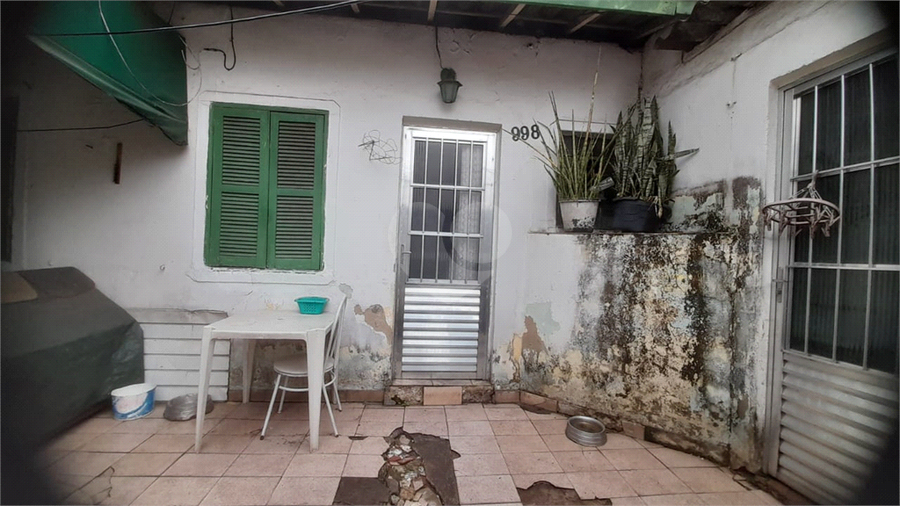 Foto REO731818