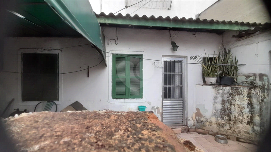 Foto REO731818