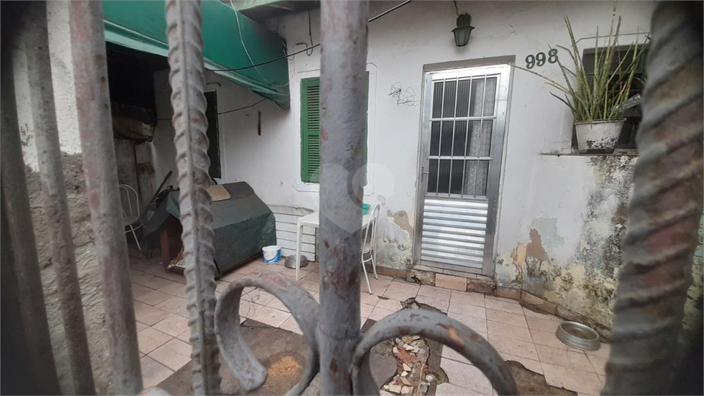 Foto REO731818