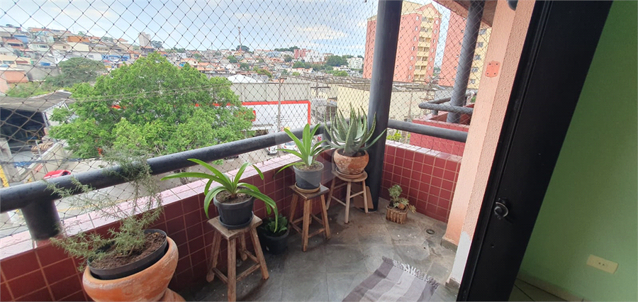 Foto REO732127