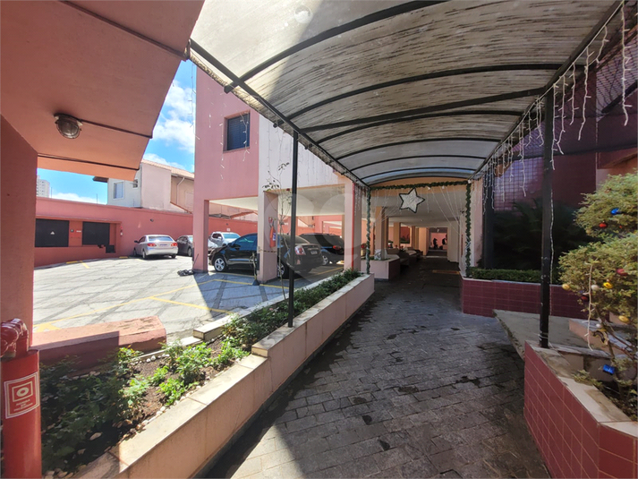 Foto REO732127