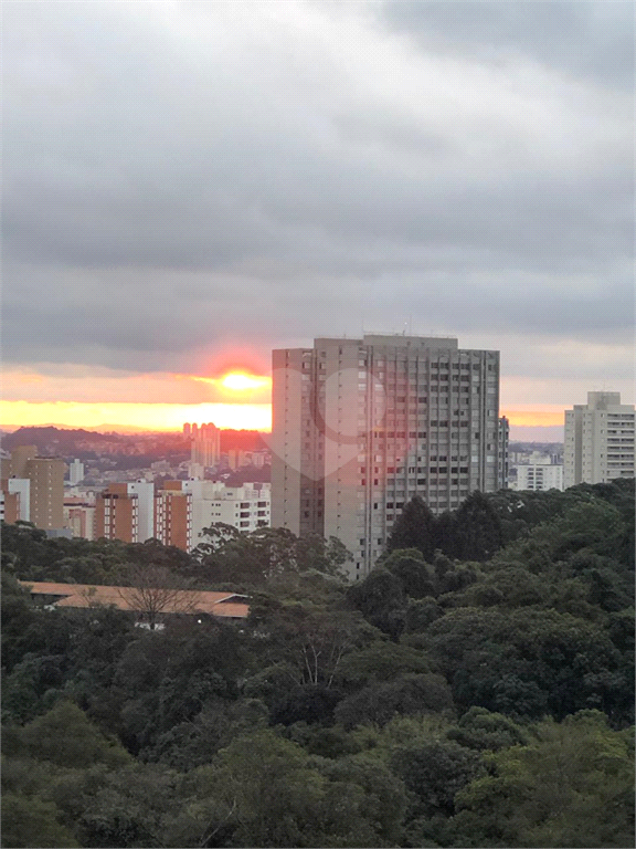 Venda Apartamento São Paulo Vila Andrade REO732572 25