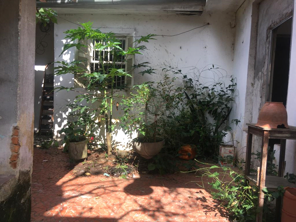 Venda Terreno São Paulo Vila Nova Cachoeirinha REO733007 17