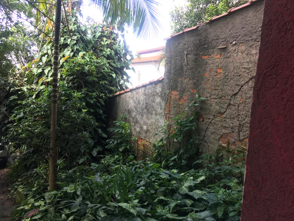 Venda Terreno São Paulo Vila Nova Cachoeirinha REO733007 6