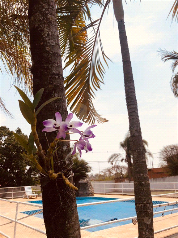 Venda Chácara Santa Bárbara D'oeste Chácara Recreio Cruzeiro Do Sul REO733116 8