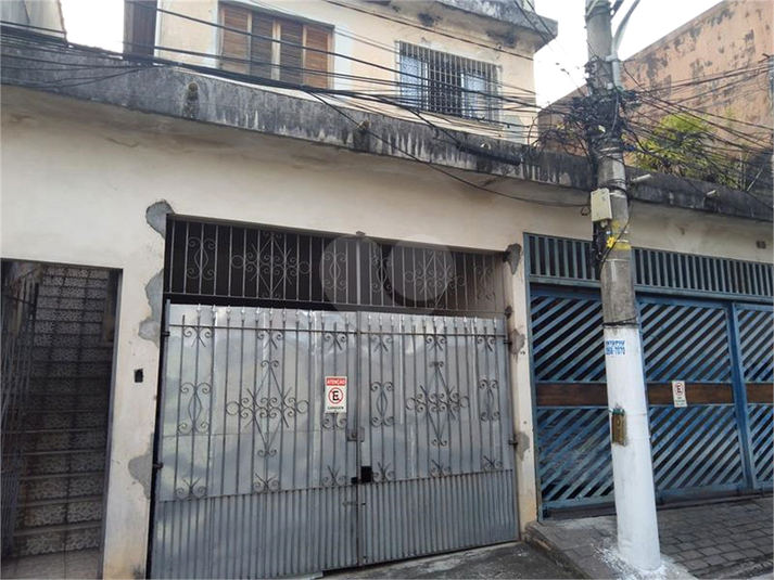 Foto REO733353