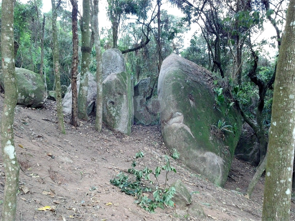 Venda Terreno Mairiporã Caceia REO733432 5