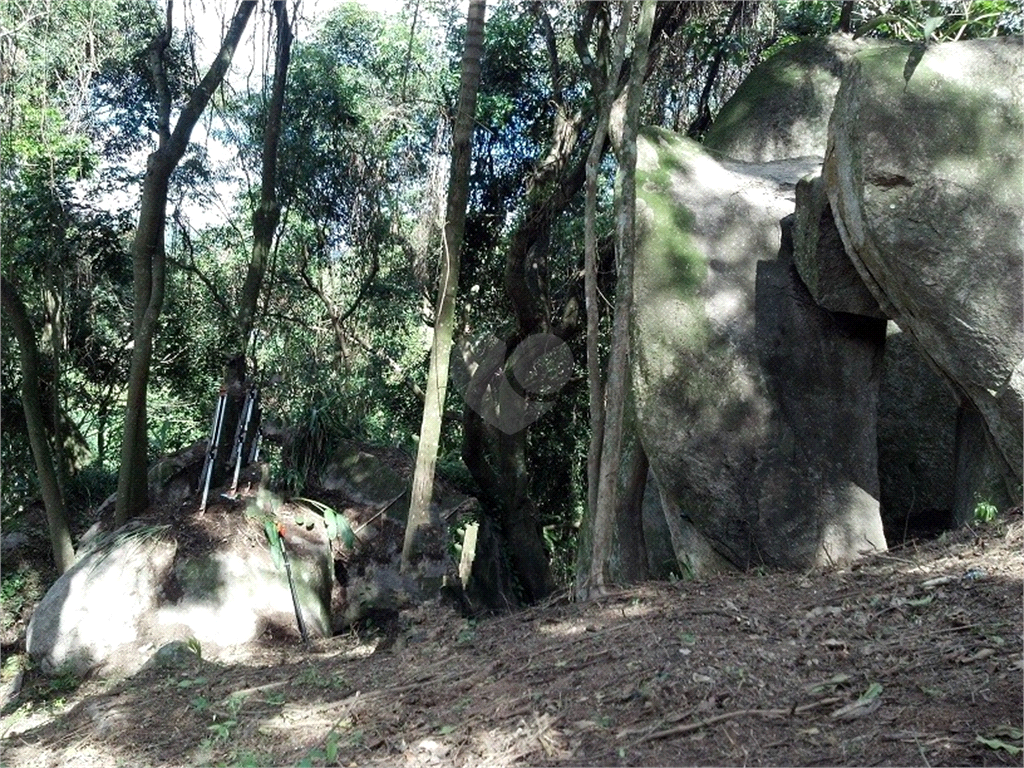 Venda Terreno Mairiporã Caceia REO733432 4