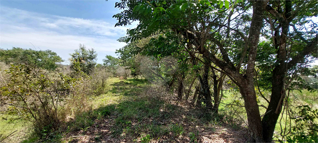 Venda Área de Terra Jaguariúna Guedes REO733579 23