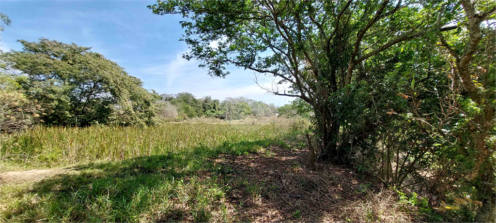 Venda Área de Terra Jaguariúna Guedes REO733579 25