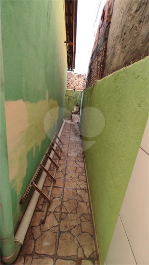 Foto REO733780