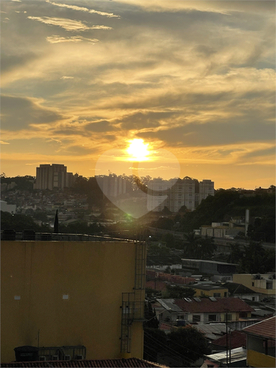 Foto REO734448
