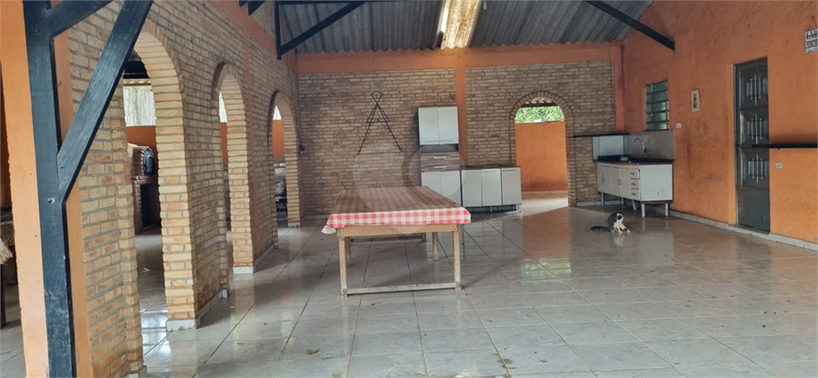 Foto REO736023