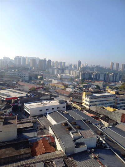 Foto REO736186