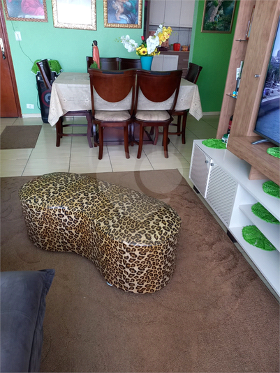 Foto REO736186