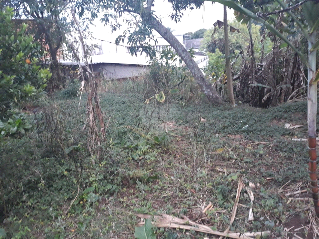 Venda Terreno Embu Jardim Santa Bárbara REO736269 4