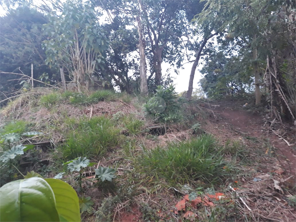 Venda Terreno Embu Jardim Santa Bárbara REO736269 15