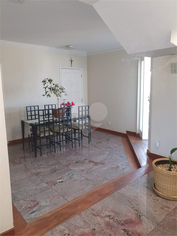 Venda Apartamento Campinas Vila Itapura REO736635 17