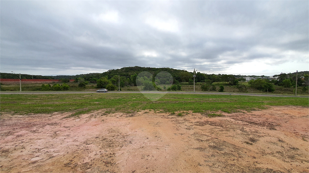 Venda Loteamento Vila Velha Ponta Da Fruta REO736732 6