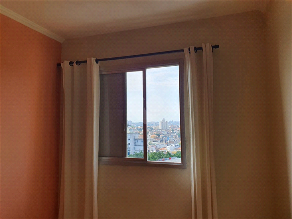 Venda Apartamento São Paulo Vila Mascote REO736982 8