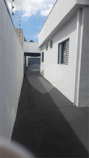 Foto REO737742