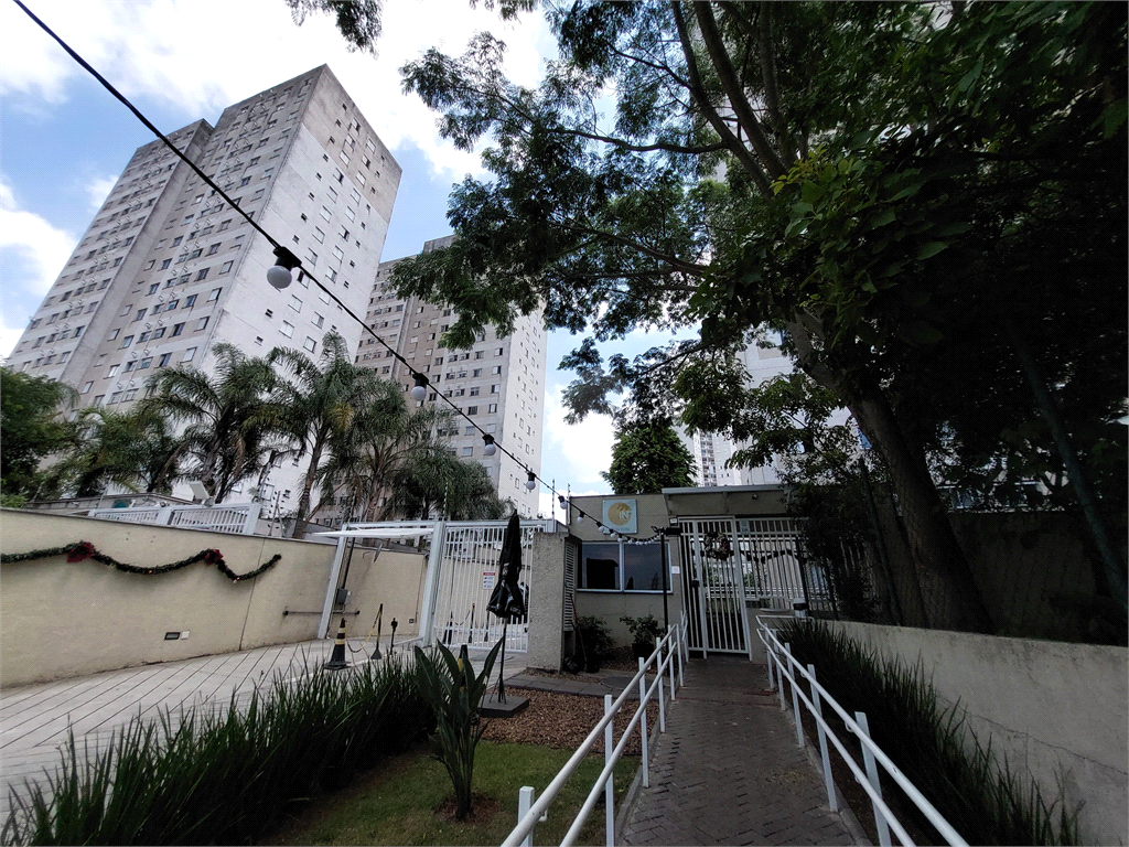 Venda Apartamento São Paulo Quinta Da Paineira REO738107 15