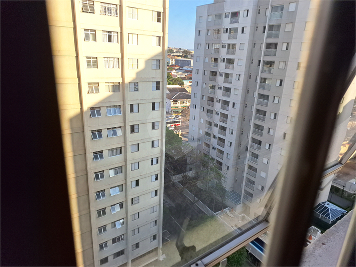Foto REO738139