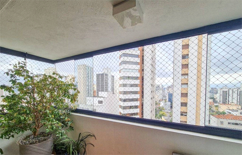 Foto REO738255