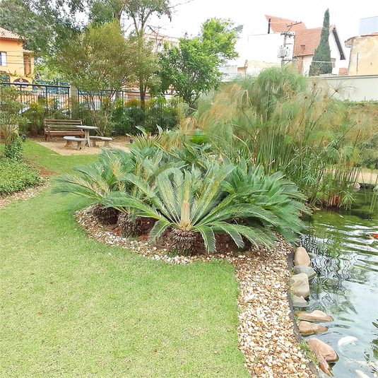 Foto REO738414