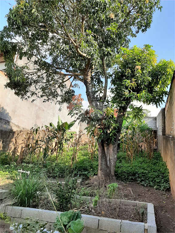 Venda Terreno Campo Limpo Paulista Parque Loja Da China (botujuru) REO739173 3