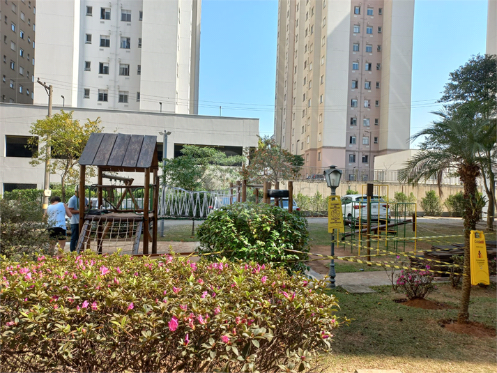 Foto REO739197