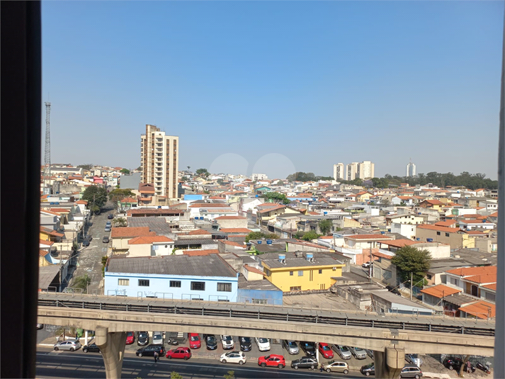 Foto REO739197