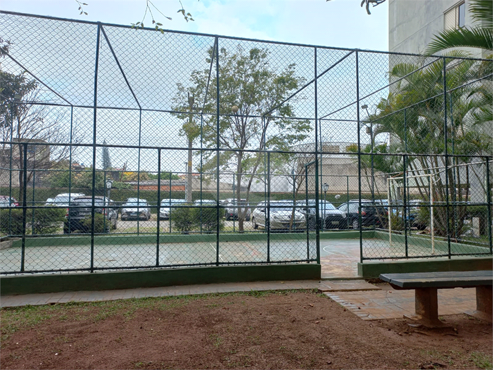 Foto REO739197